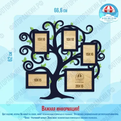 Семейные деревья 58