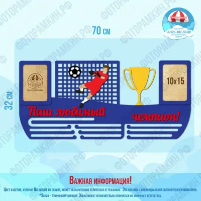 Медальница Наш любимый чемпион