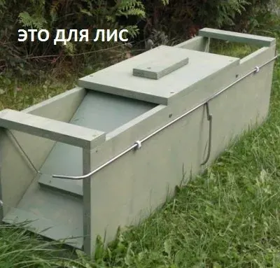 Ловушка для грызунов