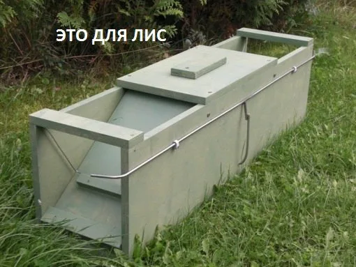 Ловушка для грызунов