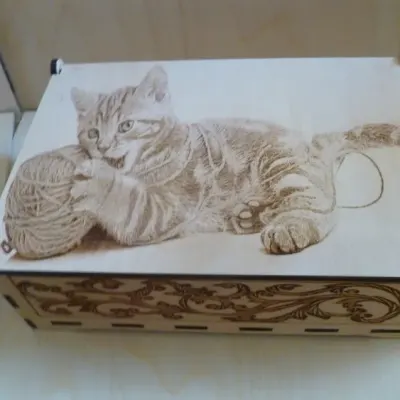 Шкатулка с котом