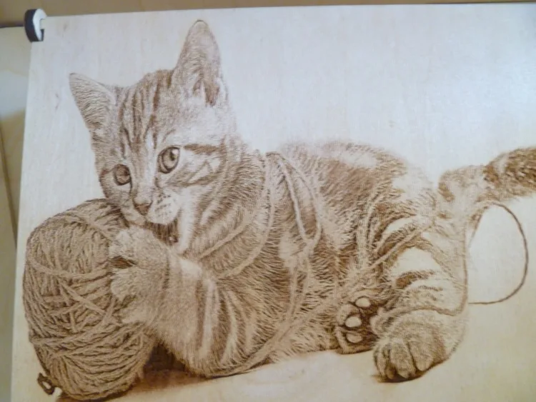 Шкатулка с котом, фото 2