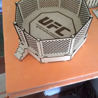 UFC arena