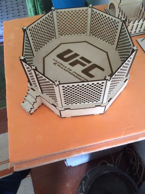 UFC arena