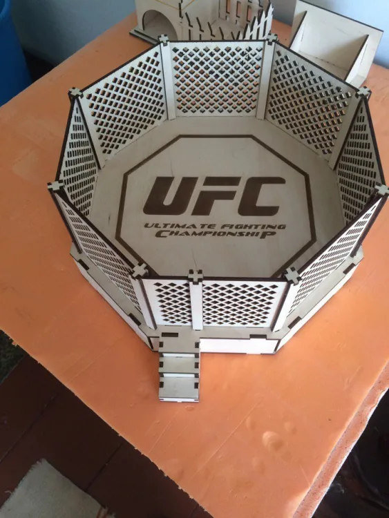 UFC arena, фото 2