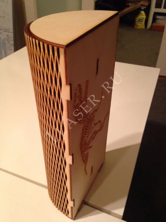 Dino Box