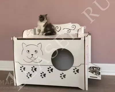 Кошачий домик макет