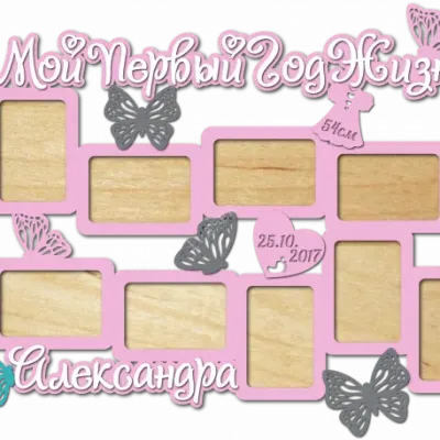 Мой первый год жизни