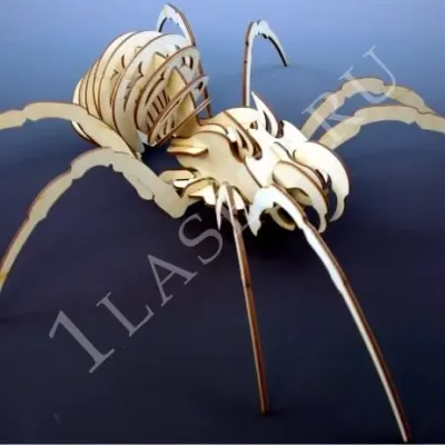 Паук