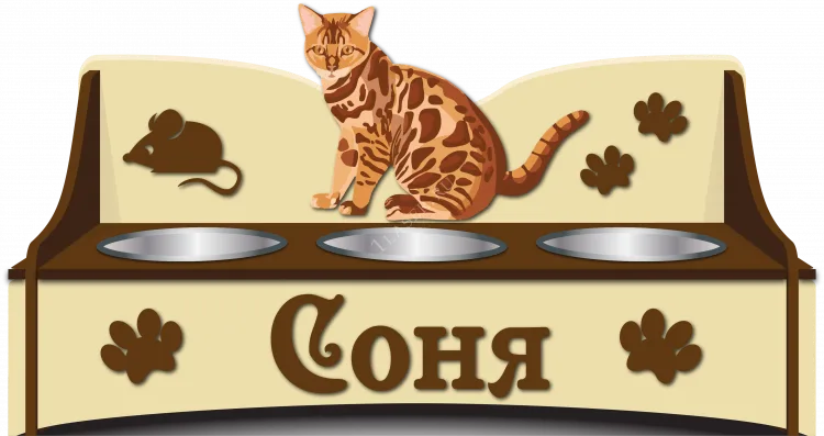 Подставка для Сони
