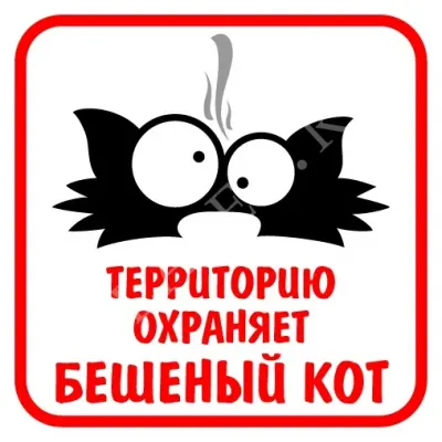 Табличка = бешеный кот