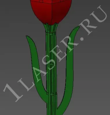 Тюльпан