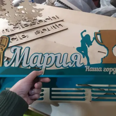 Медальницы