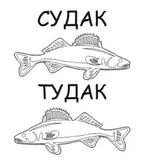 Судак рыба