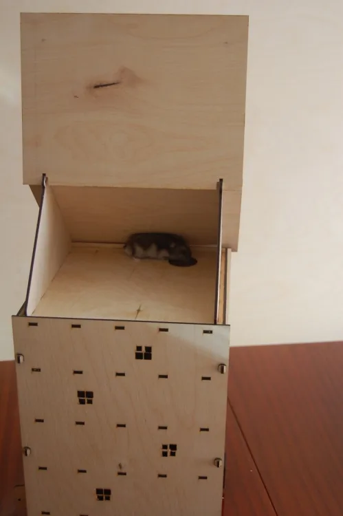 Домик для хомяка, фото 5