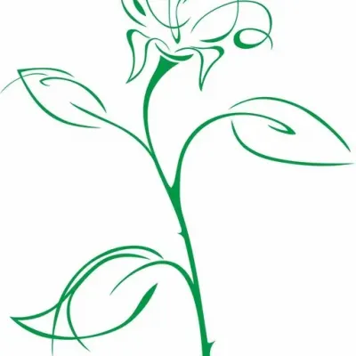 Роза суперская