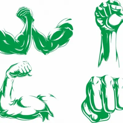 Fight, харлей, герб и осеняя листва