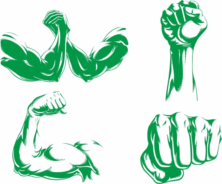 Fight, харлей, герб и осеняя листва