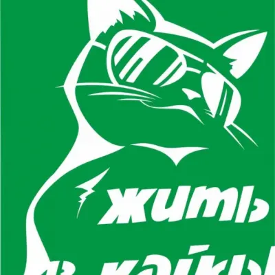 Стильный кот