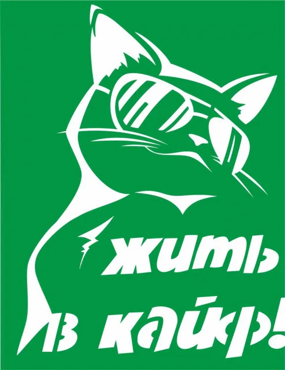 Стильный кот