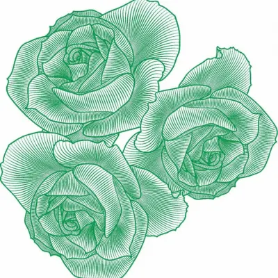 Шикарные розы и орхидеи, животинки и мишки-гамми, мишки-войны
