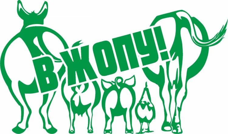 Животные попы «В жопу!»