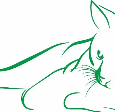 Котофей и свадебная парочка