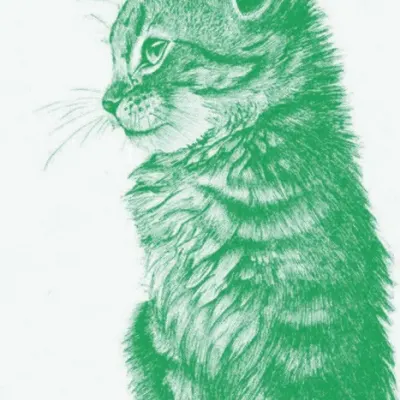 Котёнок