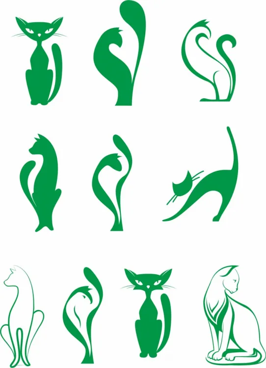 Котики
