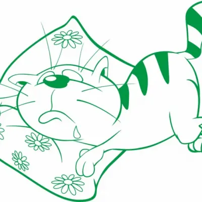 Котик на подушке