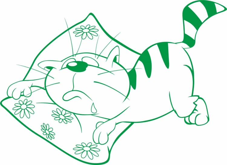 Котик на подушке