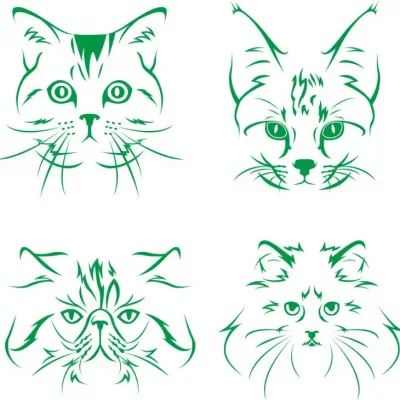Котики