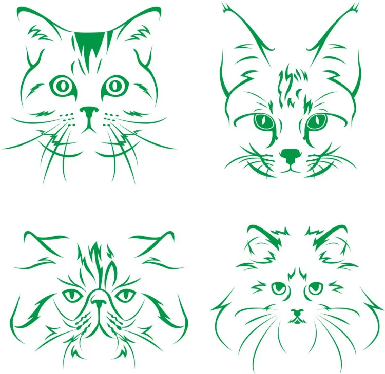 Котики