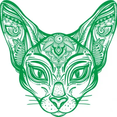 Кот породы сфинкс