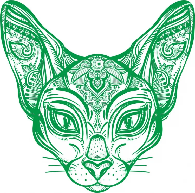 Кот породы сфинкс