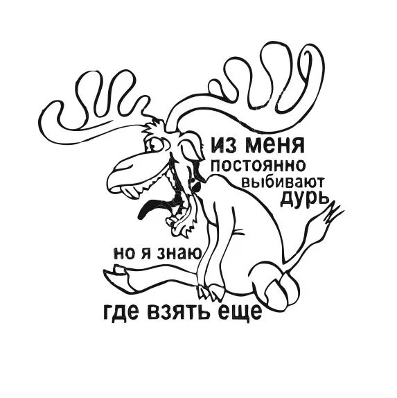 Приколы «Пошли на рыбалку!», фото 4