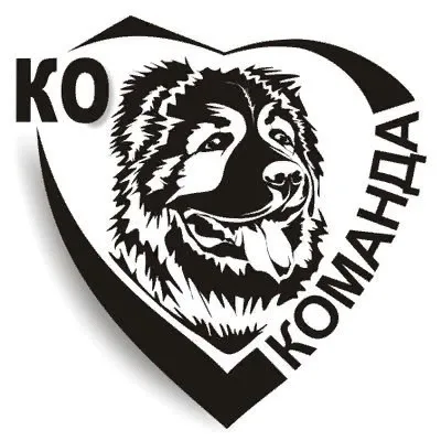 Гравировка «Pride», фото 2
