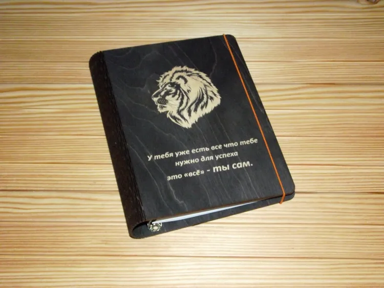 Обложка для книги со львом