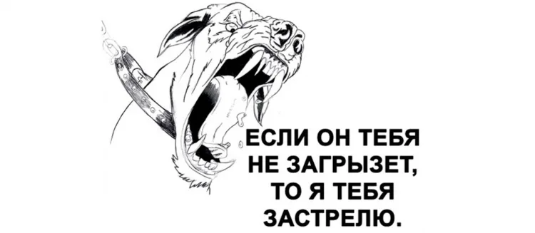 Табличка злая собака, фото 6