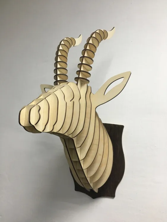 Голова  косули