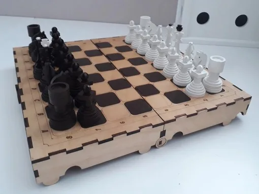 Шахматы