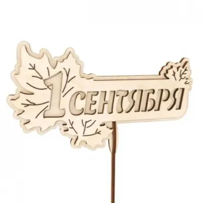 Топпер на 1 сентября