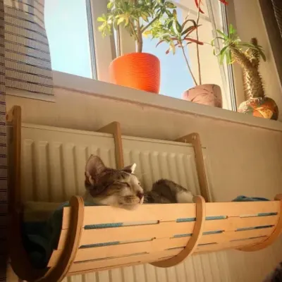 Лежак для кошки